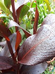 20200818_130533.jpg