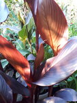 20200823_174832.jpg
