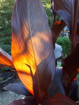 20200823_174821.jpg