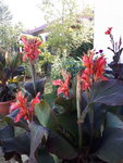 20200812_174632.jpg