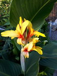 20200728_193759.jpg