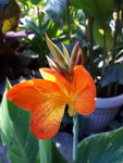 20200823_105147.jpg