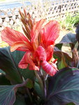 20200809_152431.jpg