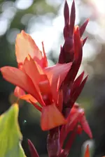 image003.webp