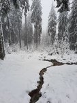 IMG-20201229-WA0004.jpg