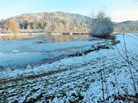 DSCF4458 (2).JPG