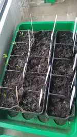 20201230_124003.jpg