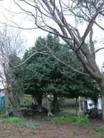 P1020208.webp