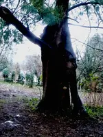 P1020205.webp
