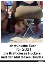 Hund.jpg