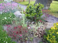 Ausschnitt Untere Anlage_07.06.2020 (2).webp