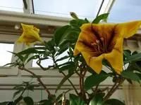 DSC01436.webp