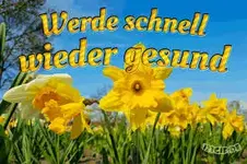 1609523530516.webp