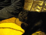 IMGP0810.JPG