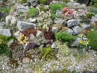 Berg 2013 Vorderseite_10.05.2020.webp