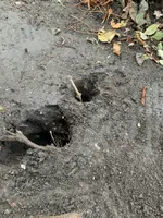 Screenshot 2021-01-02 212954.webp