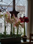 20210103_135932.jpg