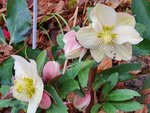 20201231_133853.jpg