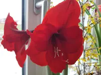 20210103_142041.webp