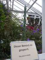 P1020340.webp