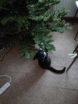IMG_20201220_123734.jpg