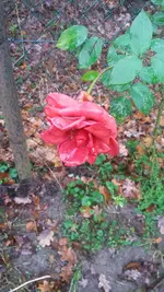 20210104_144614.webp