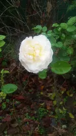 20201217_132734.webp