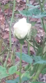 20201217_132102.webp