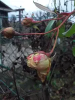 20210105_161727.webp