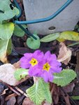 20210105_161851.jpg