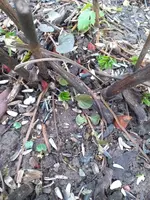 20210105_161927.jpg