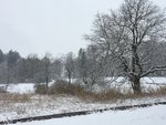 CA7943ED-3AA1-440F-988D-40CF55F6606F.jpeg