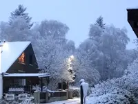 DSC02955 (1).webp