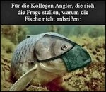 Fische.jpg