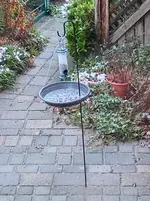 IMG_20210107_163205.webp