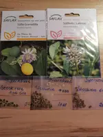 IMG_20210107_183202.webp IMG_20210107_183202.webp