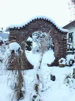 DSCF4477 (2).webp