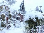 DSCF4479 (2).JPG