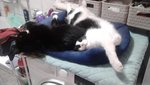 IMG-20210108-WA0002.jpg
