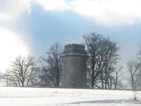 DSCN7773.webp