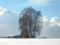 DSCN7782.webp
