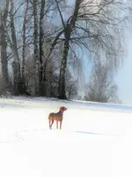DSCN7789 (2).webp