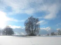 DSCN7790 (2).webp