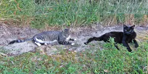IMG_9514 v (2).webp