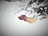 DSCF4482 (2).webp DSCF4482 (2).webp