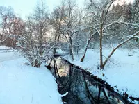 DSCF4487 (2).webp DSCF4487 (2).webp