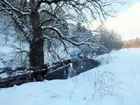 DSCF4489 (2).webp DSCF4489 (2).webp