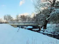 DSCF4490 (2).webp DSCF4490 (2).webp