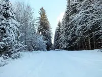 DSCF4494 (2).webp DSCF4494 (2).webp