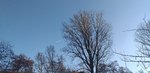 20210110_132819.jpg